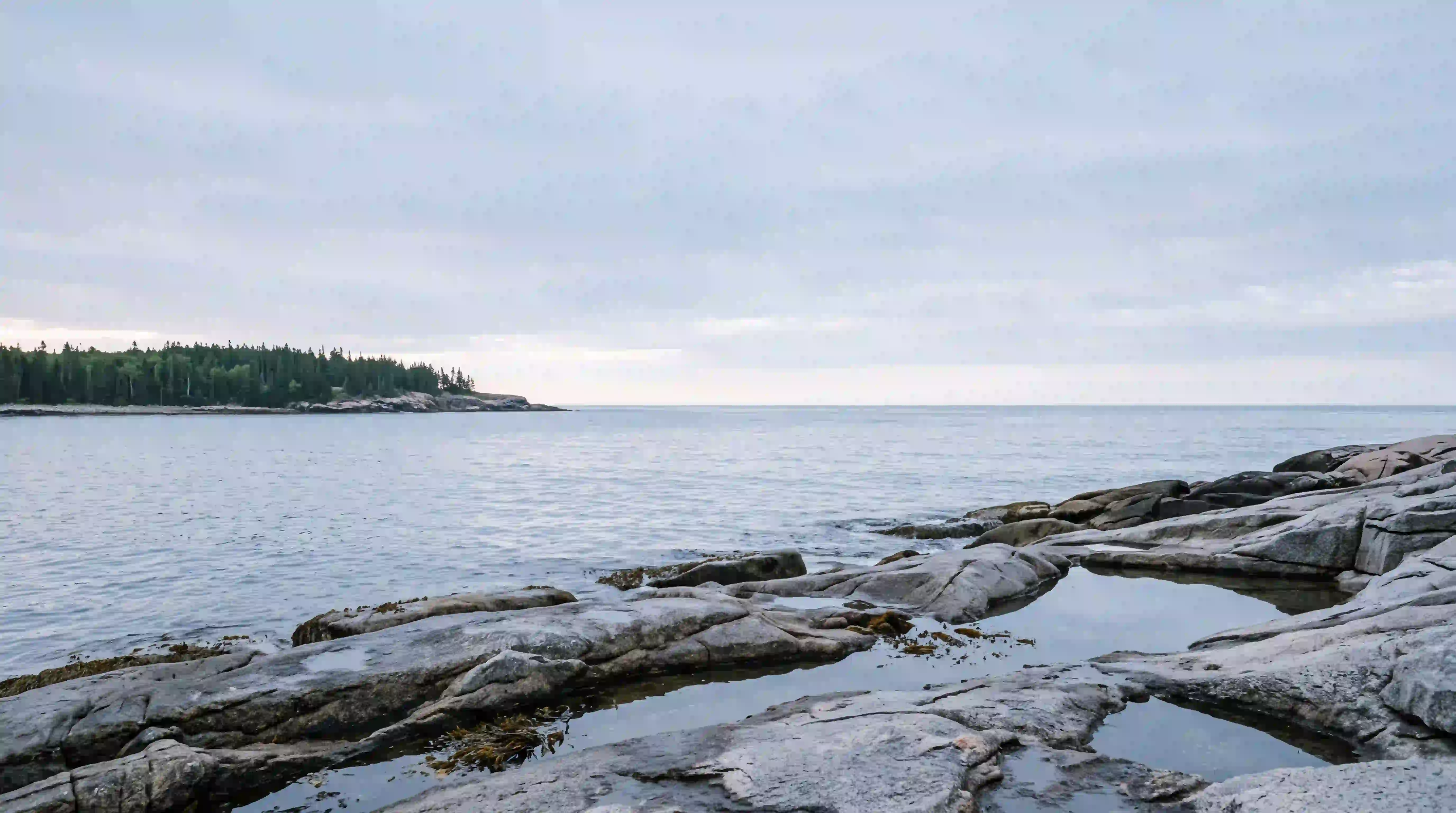 Rocky Maine coastline at low tide, evoking the steady, grounded approach to recovery HFGC clients describe
